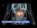 Breakthrough drug nearly doubles survival with advanced pancreatic cancer – an oncologist explains how daraxonrasib overcame an ‘undruggable’ disease
