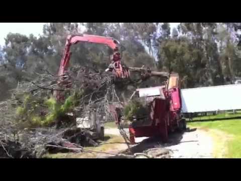 Orchard Removal