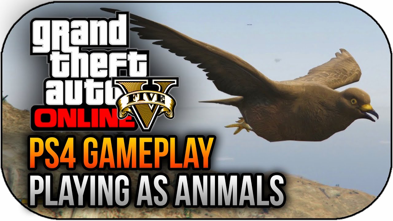 All the animals in gta 5 фото 29