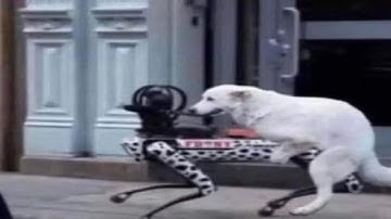 MEMES THAT WILL REPLACE ARTIFICIAL INTELLIGENCE