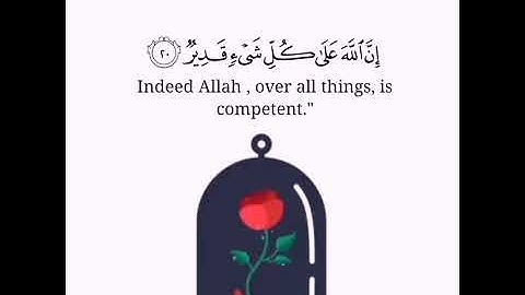 ارح سمعك.اجمل حالات واتس اب قران كريم بصوت جميل جدا💚 ||عبدالرحمن مسعد ||💚-- تلاوات خاشعة