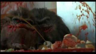 It's just a little video from the 80's movie critters 2 enjoy it !!!
don't forget to comment and rate this vid' thanks