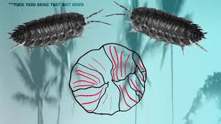 Soft Jocks - Woodlouse screenshot 1