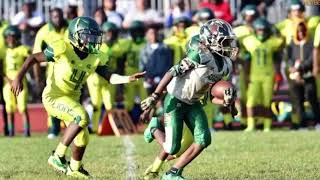 Lil Ty highlight vs Lions #1 10U in the nation.