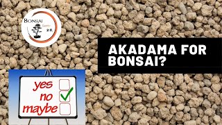 Why we don't use Akadama  The Bonsai Supply 