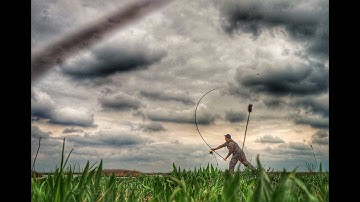 Prologic C 3 Fulcrum