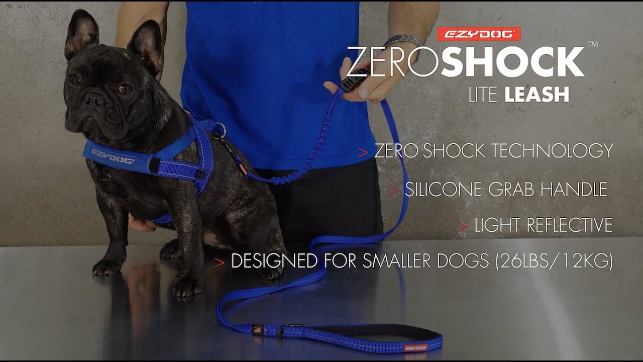 dog lead shock absorber