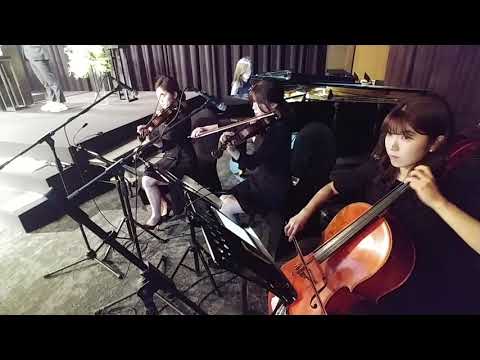 반얀트리호텔 웨딩연주 Mia&sebastians theme 라라랜드 4중주 결혼식연주