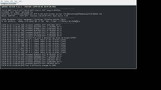 cgminer Lubuntu Server 64 bit controller for Canaan Avalon 741