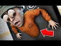 ЗАСТРЯЛ В ТЕКСТУРАХ ВО ВРЕМЯ ПОГОНИ В SCP SECRET LABORATORY!