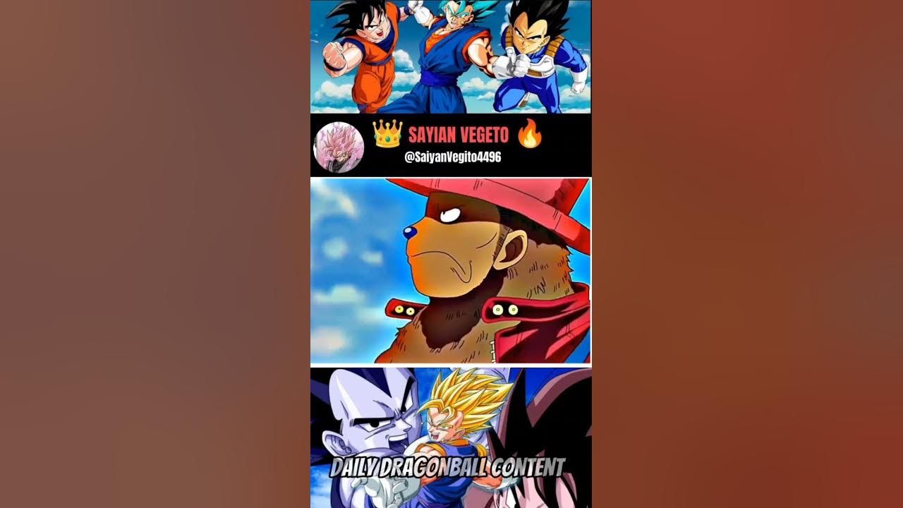one-piece-team-vs-dragon-ball-team-dbz-onepiece-youtube