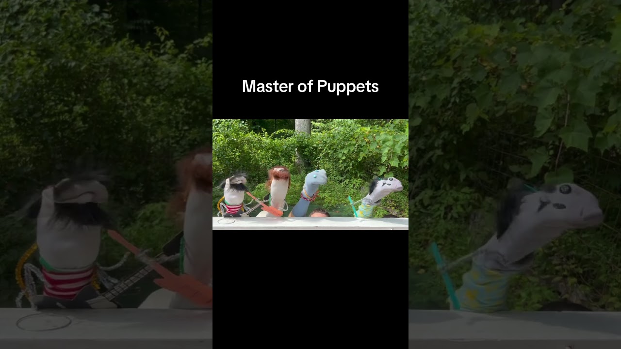 Master of Sock Puppets 