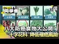 八大超級防癌食物大公開！「十字花科」助降低罹癌風險【健康同學會】精華篇｜隋安德 劉芯彤