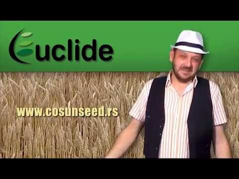AgroDan_07.11.2015 - YouTube
