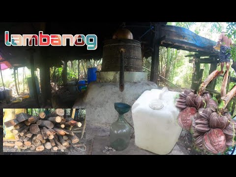 Video: Paano Gumawa Ng Lambanog