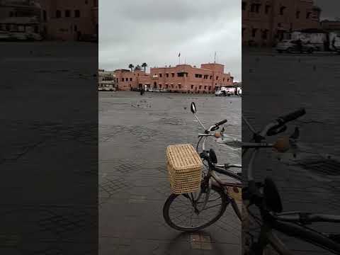 الساحة صباحا