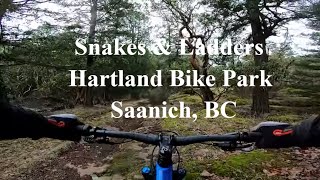 Snakes and Ladders at Hartland Bike Park, Saanich, BC