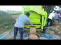 Massey Ferguson tractor work on thresher machine | Rice farming | Paddy thresher | thresher video