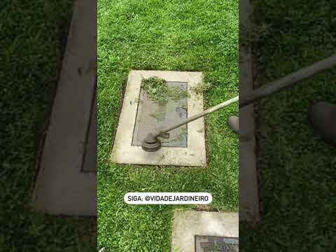 Vídeo: Cortadores de grama - um ajudante necessário na casa