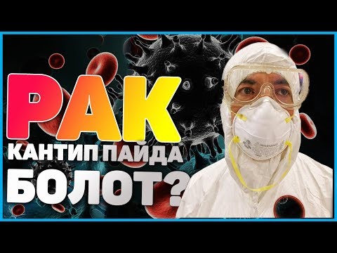 Video: Рактан мышыктар кандайча дарыланышат