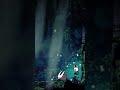 Hollow knight