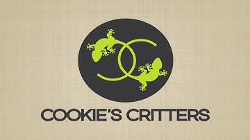Sydney Reptile Breeders - Cookies Critters Intro