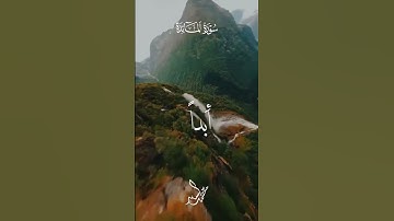 سورة المائدة . الشيخ سيد سعيد #اكسبلور