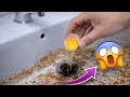 Top Secret Sink Hack Using Egg| Shocking Plumbing Trick 2026