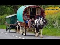 Take me home to Appleby 2019 - Song: I need a ride home by Tina McKinstry Stanley