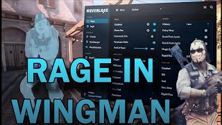 CS2 RAGE  IN WINGMAN (VAC SAFE)
