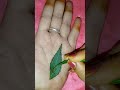latest green leaf🍃 "Himanshu" name beautiful😍 mehandi design💫💫#trending#ytshorts#love#viral#funny