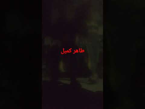 ١٢ نوفمبر ٢٠٢٢