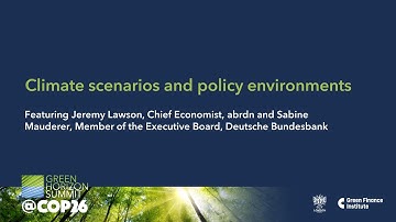 Climate scenarios and policy environments