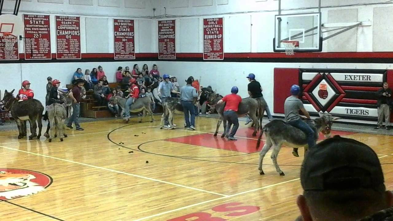 Exeter Mo Donkey Basketball 1 YouTube