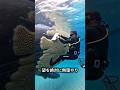 クジラのフジツボを取ってはいけない理由のサムネイル