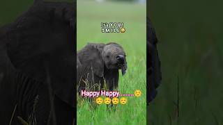 Me At The Zoo | Bilall Cooking