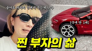 부자Vlog)기프티콘으로 아파트를 받고 속상할땐 아이패드를 던지며 페라리에서 우는 진짜 부자 브이로그