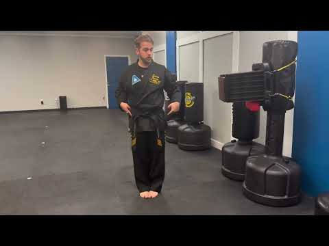 How to do a Palm Heel Strike Board Break!