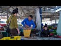 Harvesting ginger and taro to sell at the market, a family meal | Family farm
