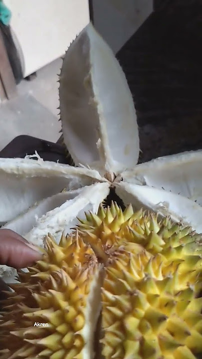 How to cut #durian #cuttingskills