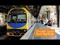 Sydney Trains Vlog 1591: Circular Quay Rare Sightings