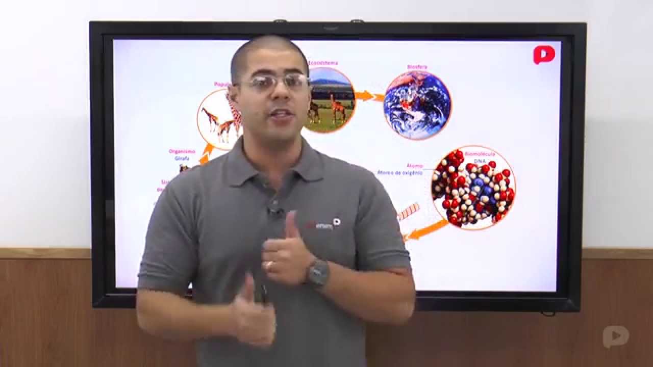 Biologia - Ecologia: conceitos Básicos