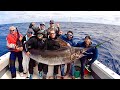 HUGE Swordfish! Catch and Clean on 37' Freeman Boatworks with Stanczyk