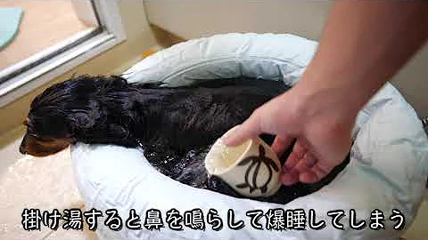 お風呂 Mp3