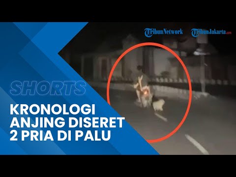 Video: Mengapa anjing saya hanya mendengar lelaki?