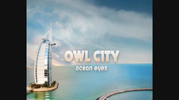 Owl City - The Bird and the Worm