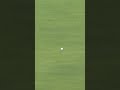 RORY SINKS LONG EAGLE PUTT! 🦅 #TheOpen #Golf