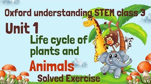 Oxford understanding STEM class 3 unit 1 solved exercise life cycle of plants and animals