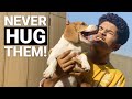 Why You Must NEVER Hug Your Dog? - 3 Most Common Reasons #shorts