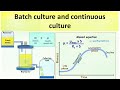 Batch culture and continuous culture | Equation for continuous culture